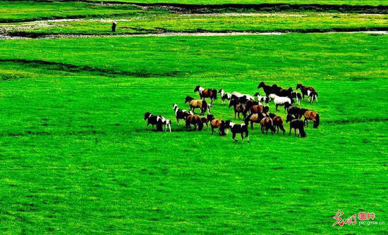阿鲁科尔沁草原游牧系统：人与自然和谐共生的田园<em>诗篇</em>