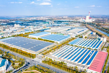 千亿级产业集群崛起的背后，滨州“织”造高质量发展