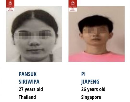 全球通缉！这对夫妻在新加坡<em>做代购</em>被控近200条罪名！母亲下...