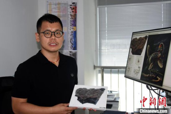 中国新发现约1.5亿年前鸟翼类<em>恐龙</em>“奇异福建龙”和“政和动物群...