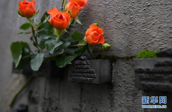 德国法兰克福：探访老犹太公墓“<em>姓名</em>墙”