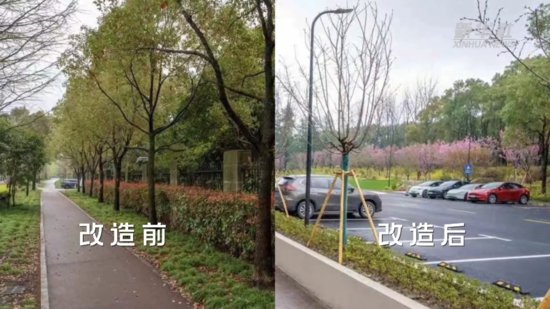 拆围透绿：上海最大的城市公园拆下围墙对外开放