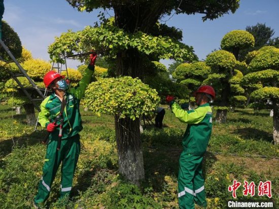 北京市园林绿化行业工装发布<em> 设计主题</em>为“绿波荡漾”