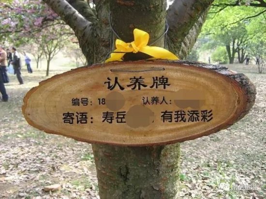重庆城市绿地能认养<em>取名</em>啦，古树、动物也可以认养