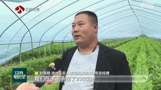 初夏好“丰”景 江苏多地特色农产品迎来采收期