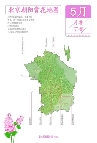 收藏！“北京朝阳赏花地图”来了！