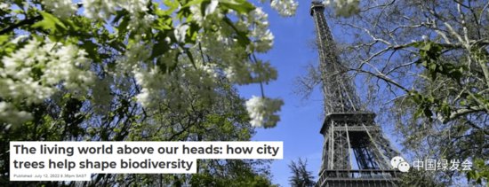我们头顶上的生活世界：城市<em>树木如何</em>帮助塑造生物多样性