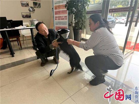 苏州石桥村：<em>疫苗</em>接种进社区 文明养犬“上保险”