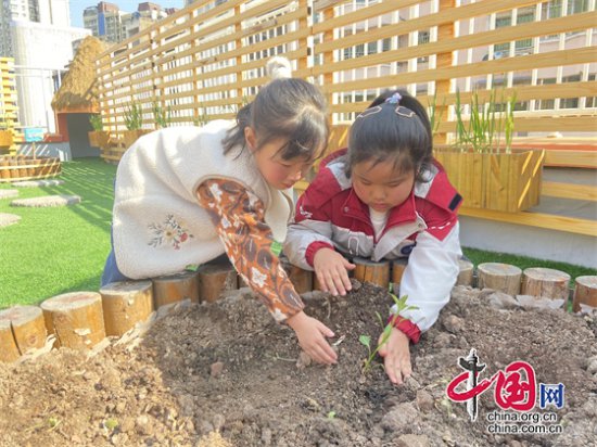 守护绿水青山 绵阳市各学校积极开展植树节系列活动