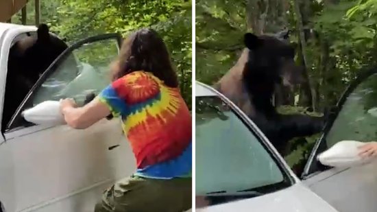 美国一头黑熊在车内寻找食物<em> 男子打开</em>车门将熊撵走