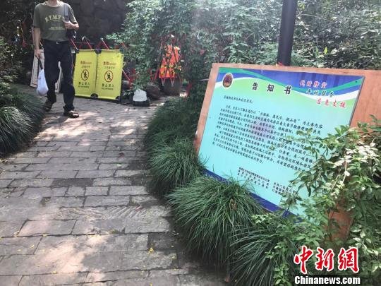 上海一公园假山下挖出1600平米防空洞 将用<em>泡沫水泥</em>回填