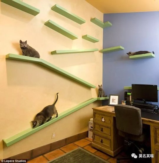养猫的人应该如何<em>装修</em>房子？首先把阳台封起来