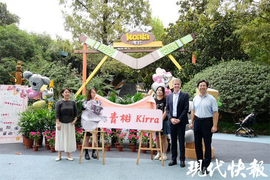 “青柑”！南京红山动物园考拉五宝的名字定啦