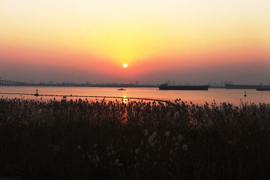 江苏泰州：长江大保护让“春江花月夜”美景重现
