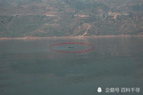 牂牁湖水怪：被称为中国最清晰<em>的水怪视频</em>，为何没火起来？