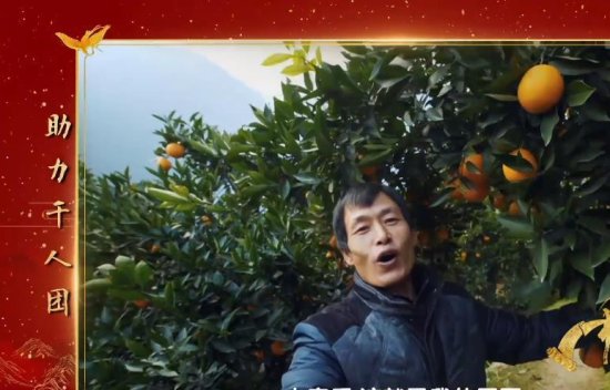 中国诗词大会第六季第五场，为奉节种植脐橙果农易守财<em>的果园</em>...