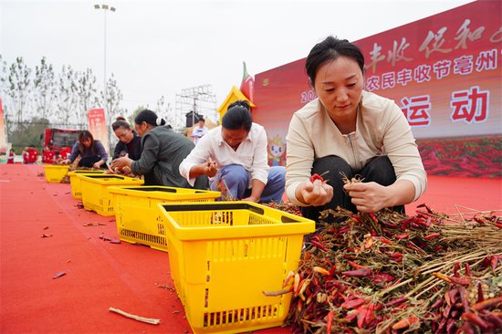2023年中国农民丰收节亳州市主场活动举行