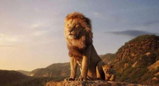 电影《狮子王》中<em>故事</em>违背了狮子世界<em>的常识</em>，分享残酷的狮子...