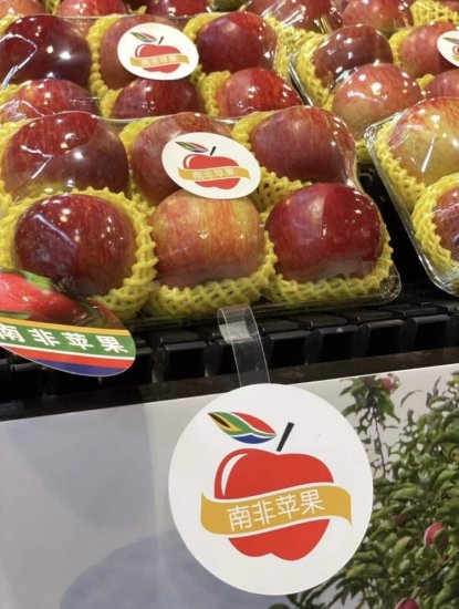 天天果园首个“南非苹果季”丨携手Hortgro深耕中国市场