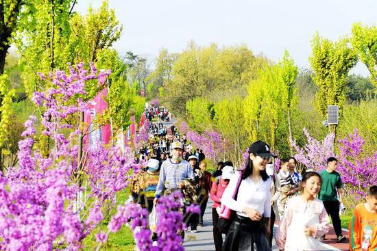 湖北老河口：1天，4.5万人次，共赴一场春日盛宴