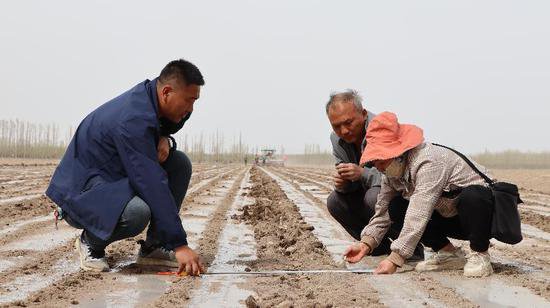 芳草湖农场：科技助力让春播尽显“科技范”