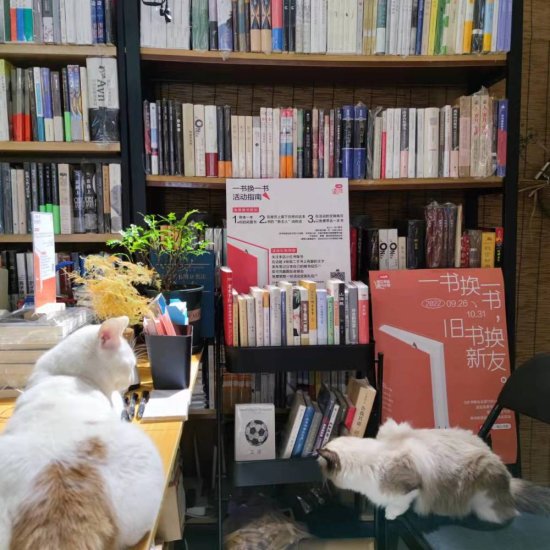 那些有猫的<em>书店</em>：爱书和爱猫的都是一伙人