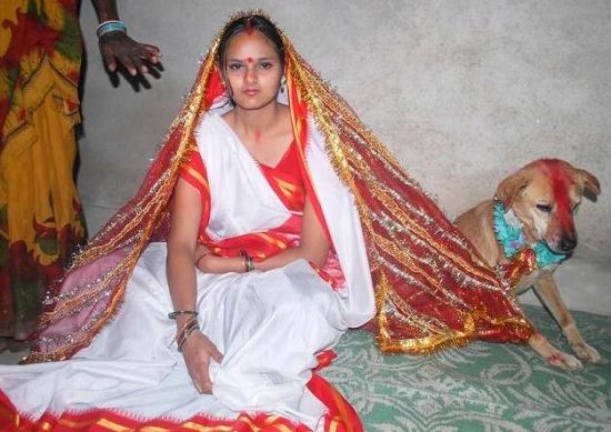 印度一名少女与<em>公狗</em>结婚，只因为这个原因，看完之后都不淡定了