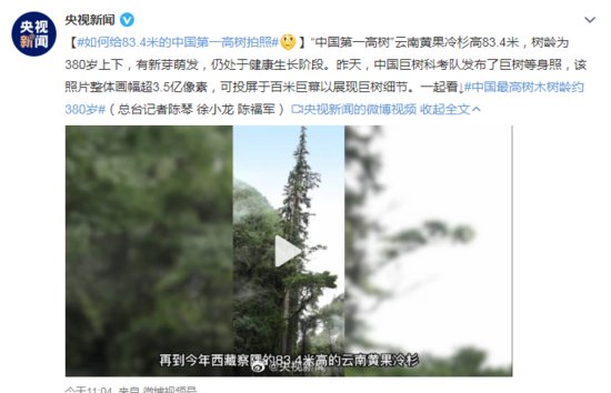 <em>如何给</em>83.4米的“中国第一高树”拍照，一起揭秘