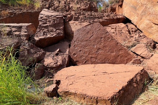 罕见！福建上杭发现正负模保存的恐龙足迹化石