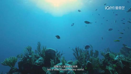 北京大视听丨《水下中国（第二季）》：<em>敬畏生命</em>，寻找与自然的...