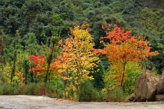 秋日登高正当时，汶川，带你<em>找寻诗词</em>中的无忧之美。