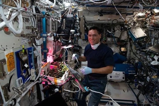 破案！NASA宇航员找到“失踪番茄”，国际空间站“番茄失踪案...