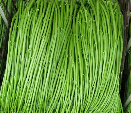 俗称“青龙菜”，长得像长豆角，能耐40度高温，一年收割十几次