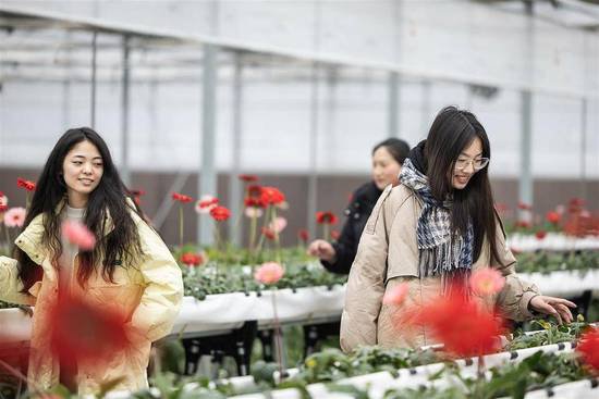 <em>湖北省</em>农科院向公众开放花卉科研基地