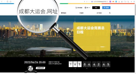 助力品牌<em>企业网络营销</em>，中文域名兴起是大势所趋！