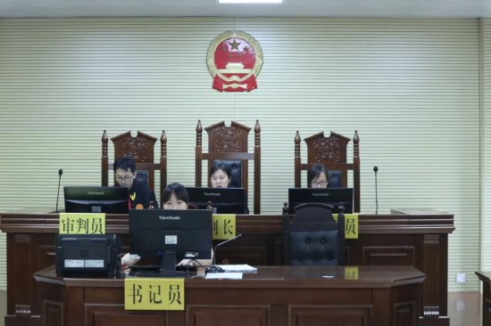 田阳区法院邀请代表委员旁听一起知识产权侵权案件庭审