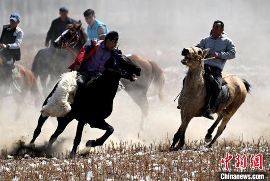 新疆库尔勒举行<em>春季</em>赛马、刁<em>羊</em>比赛