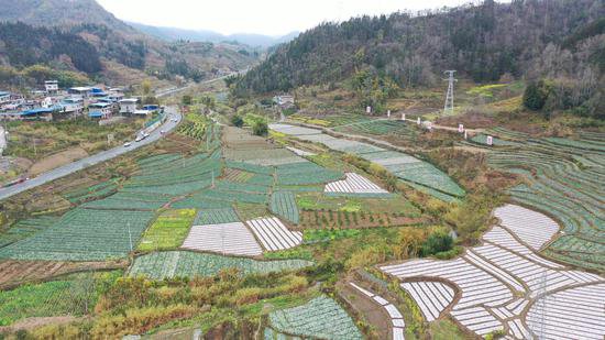 贵州罗甸：保面积、稳产量，春耕备耕稳步推进