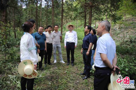 国家林草局副局长闫振在贵州黔南调研时强调：贵州林业要争取在...