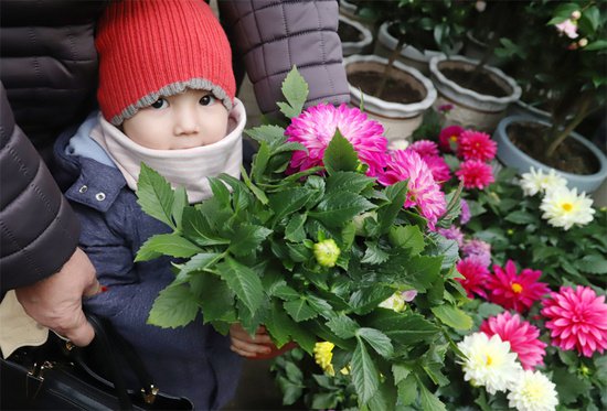 新疆和硕：花开富贵迎新春 花卉市场掀热潮