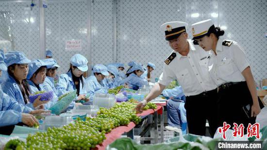 越南成为云南大理出口最大贸易国