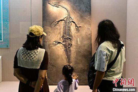 “龙跃黔海——贵州三叠纪的海洋世界”展览在北京开展