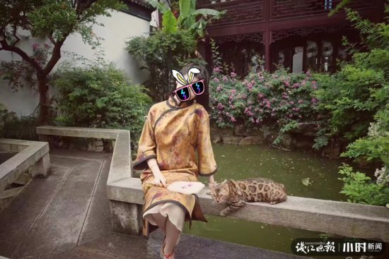 前几天良渚文化村发现的“怪猫”有主人，她给小时新闻发来清晰...