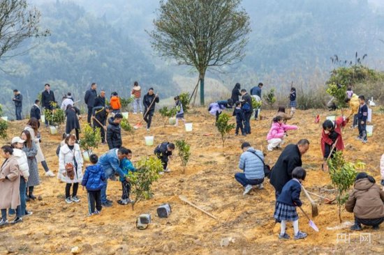 美丽重庆 | 小学生植树为矿坑修复添新绿
