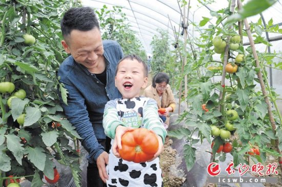长沙望城启动首届“果蔬采摘季” 计划五年实现<em>蔬菜种植</em>10万亩