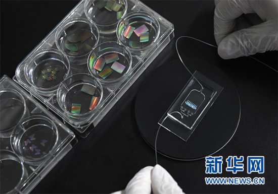 中国科学家<em>开发</em>出“<em>可视化</em>”的“心脏芯片”