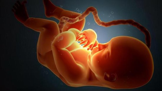 怀孕期间，这<em>几周胎儿</em>最容易脐带绕颈，孕妈要做好预防工作