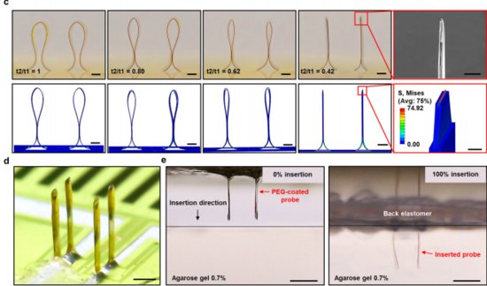 中国学者开发<em>三维</em>神经接口设备实现3D电生理记录，为研究下一代...