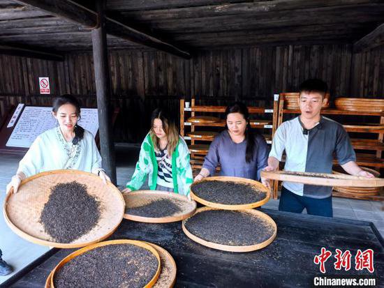<em>台湾</em>青年湖南品茶：东方树叶的魅力从未改变