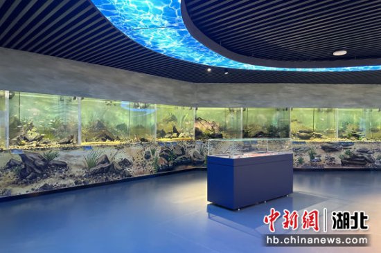 三峡坝区有了“水族馆”